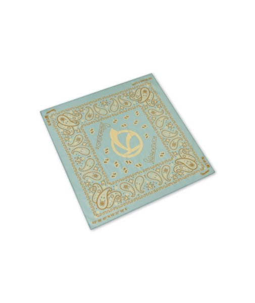 Vespa Bandana, Turquoise, DEC Collection