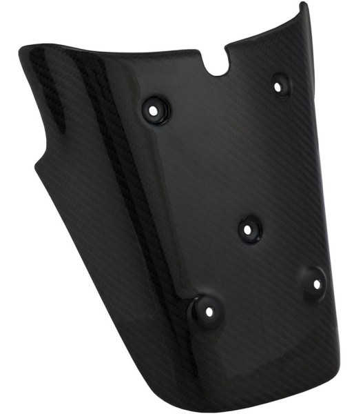 Rear license plate holder for Vespa GTS/​GTS Super/​GTV 125-300ccm (-'13), carbon